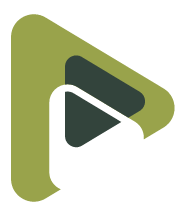 Playapk logo